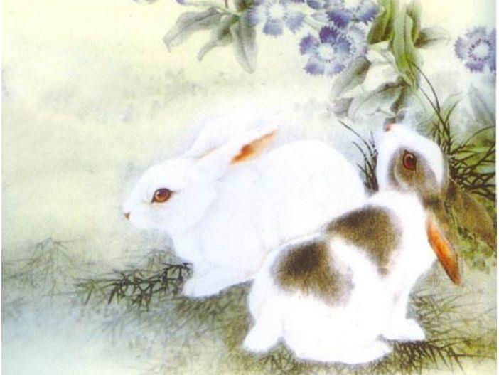 属兔和哪个属相最配?_属猪的佩戴黑曜石兔属相好不好_兔和鸡属相能配夫妻吗