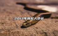 2013年属蛇人命运 2013年属蛇的运势如何