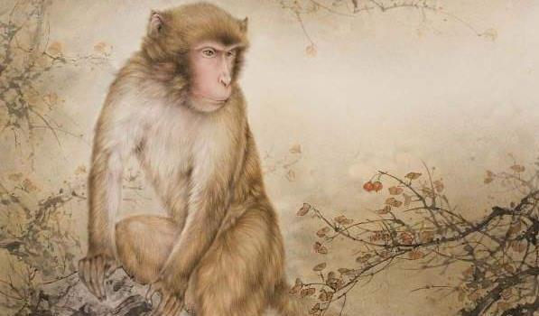 属猴的都有哪些年份出生_生肖猴的出生年份_猴出生的年份